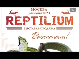 Московский Рептилиум 2023. Пока только трейлер!