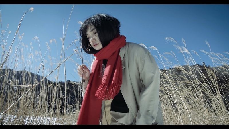tiny yawn 花筏 ( Official Music