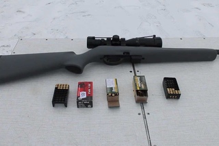 Тест патронов .22LR. Винтовка Remington 597 Часть 1.