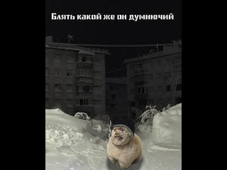 Запомню судно (улица восток x молчат дома)