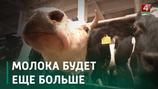 На Гомельщине в 2023 году будет построено 10 новых молочно-товарных комплексов