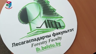 Абитуриенту БГТУ: Лесохозяйственный факультет