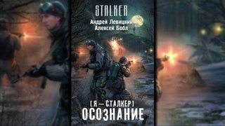 Андрей Левицкий, Алексей Бобл - Я-сталкер - Осознание Вселенная . (аудиокнига)