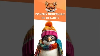 Познавательное видео #факты #интересныефакты #познавательныефакты #shorts