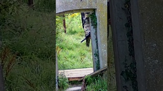 WORST Place To Get HIT In Airsoft - #shorts