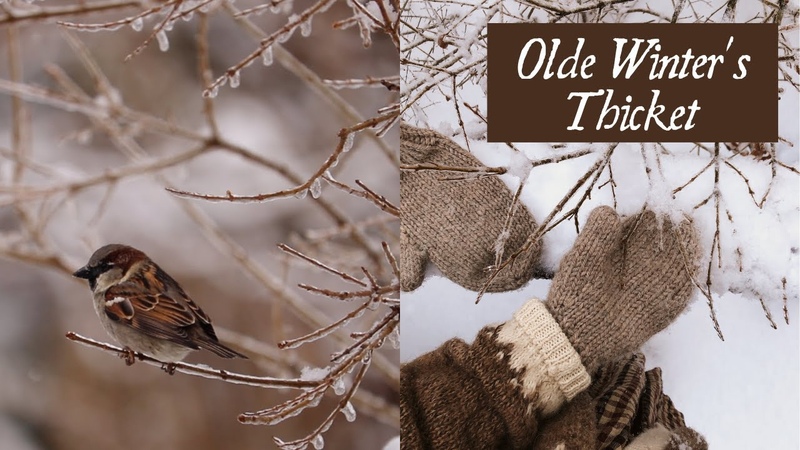 Olde Winters