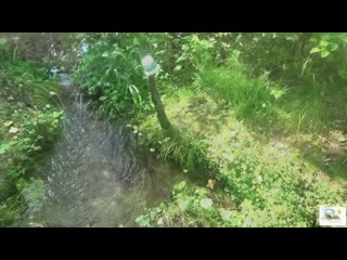 Осенний поход до р  Ока  Саянск  № 2/Autumn hike to the Oka Sayansk No. 2