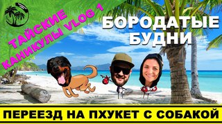 Переезд в Тайланд с собакой. Приключения в Бангкоке. Конечная Пхукет.