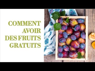 Comment avoir des fruits gratuitement ?