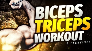 Biceps and Triceps Workout ⌈ ARM WORKOUT ⌋