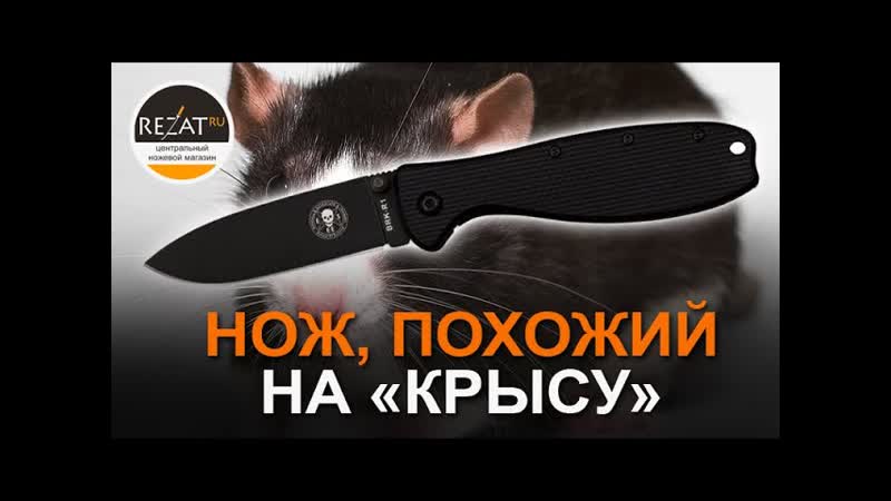 Складной нож ESEE Zancudo: и снова фолдер, похожий на Крысу , Обзор