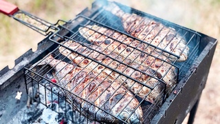 Как вкусно приготовить Сибас и Дорадо дома и на природе