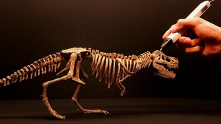 3D pen | How to make T-Rex skeleton | 3D