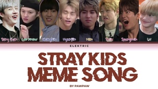 STRAY KIDS MEME SONG - PAWPAW (Color Coded Lyrics Eng/Rom/Han/)