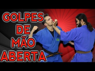 Golpes de mo aberta: defesa pessoal e combate ( Kudo - MMA japons )