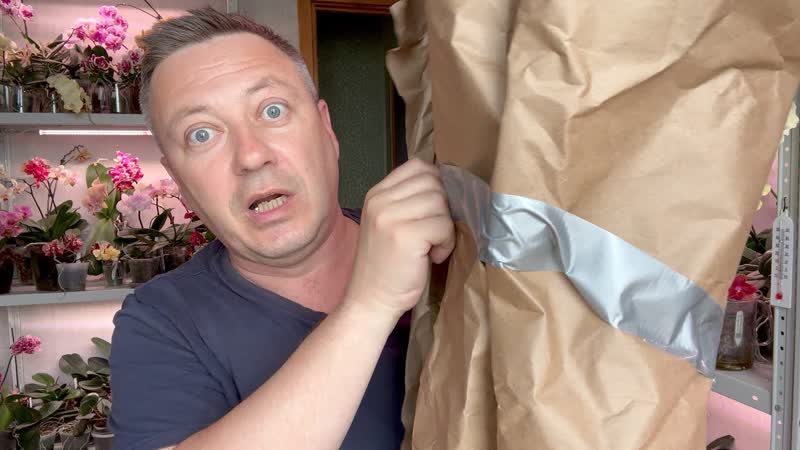 новые орхидеи распаковка обзор, орхидея для СЕБЯ с