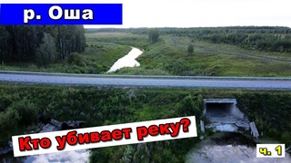 Кто убивает реку Оша? ч.1