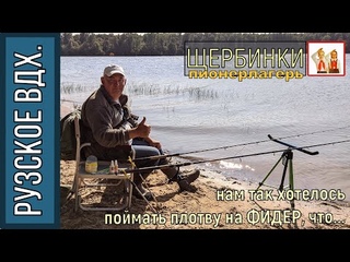 Рыбалка на Рузском вдх. Щербинки, КАК МЫ ХОТЕЛИ ПОЛОВИТЬ ПЛОТВУ... ФИДЕР