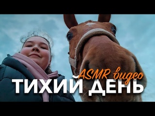 Тихий день на конюшне | Equestrian ASMR