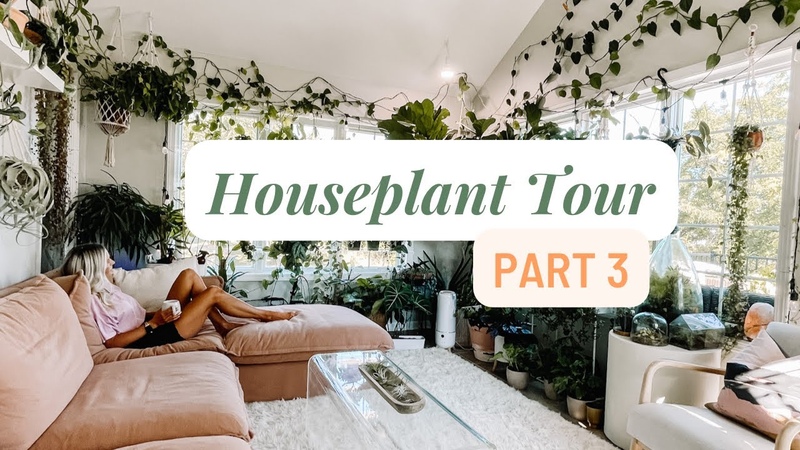 200+ Plant Tour Part 3 The SUNROOM (99 of my