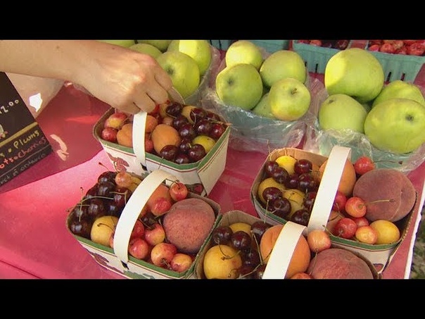 Farmers market lies exposed: hidden camera investigation (
