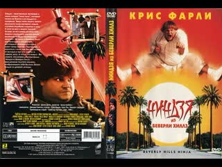 Beverly Hills Ninja