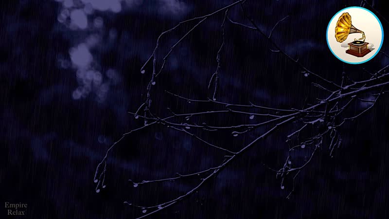 Relaxing rain noise with thunderstorm. 12 hours dark