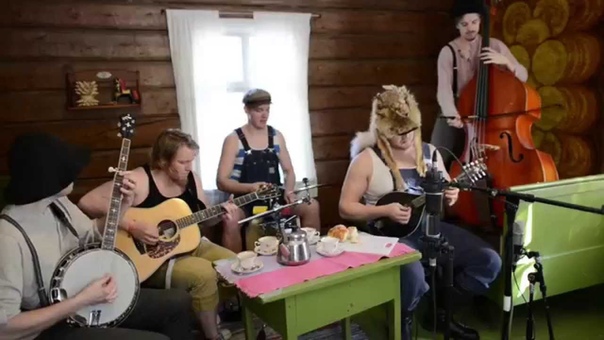 Steven Seagulls Seek And Destroy Country,