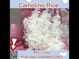 Camolino rice - Calrose Rice From Vietnam Rice Mill-  Whatsapp Linda 0084989322607 #rice #food