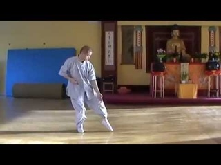 Shaolin Taizu Chang Quan