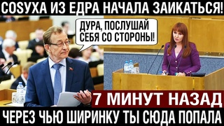 ЧЕРЕЗ ЧЬЮ ШИРИНКУ ТЫ СЮДА ПОПАЛА!