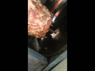 крыса в Донерной возле ЖД вокзала Алматы-2, вниманию работников СЭС Алматы