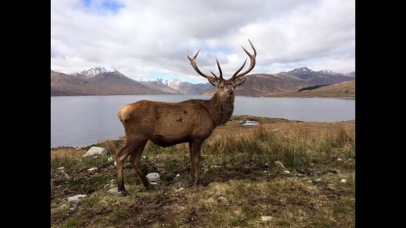 ленные правленцы (продолжаю допиливать