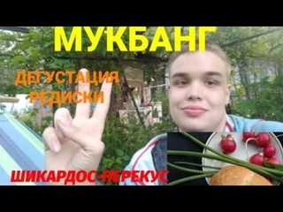Видео от ... Вечер того же дня. Мукбанг, дегустация редиски, созревшей в этом году!!!