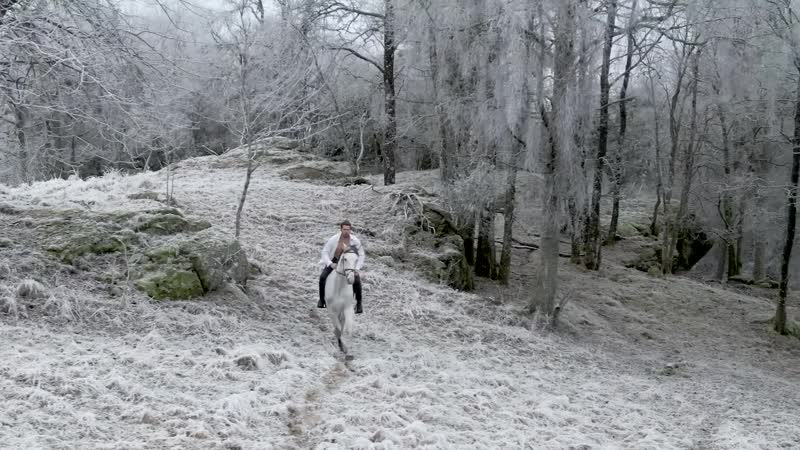 Evergrey Eternal Nocturnal (2021) Album Escape Of The Phoenix
