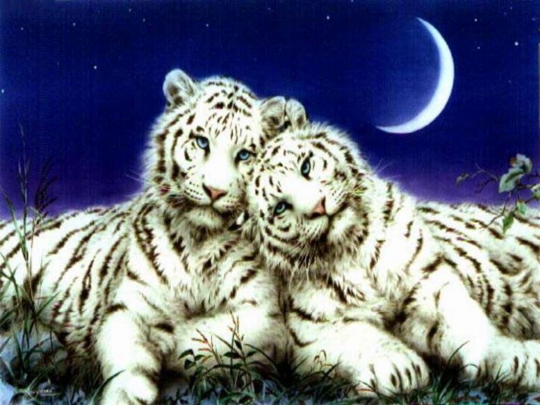 Дурсун Диляваров | Bursa