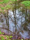 Фотография Инесса Зеленская