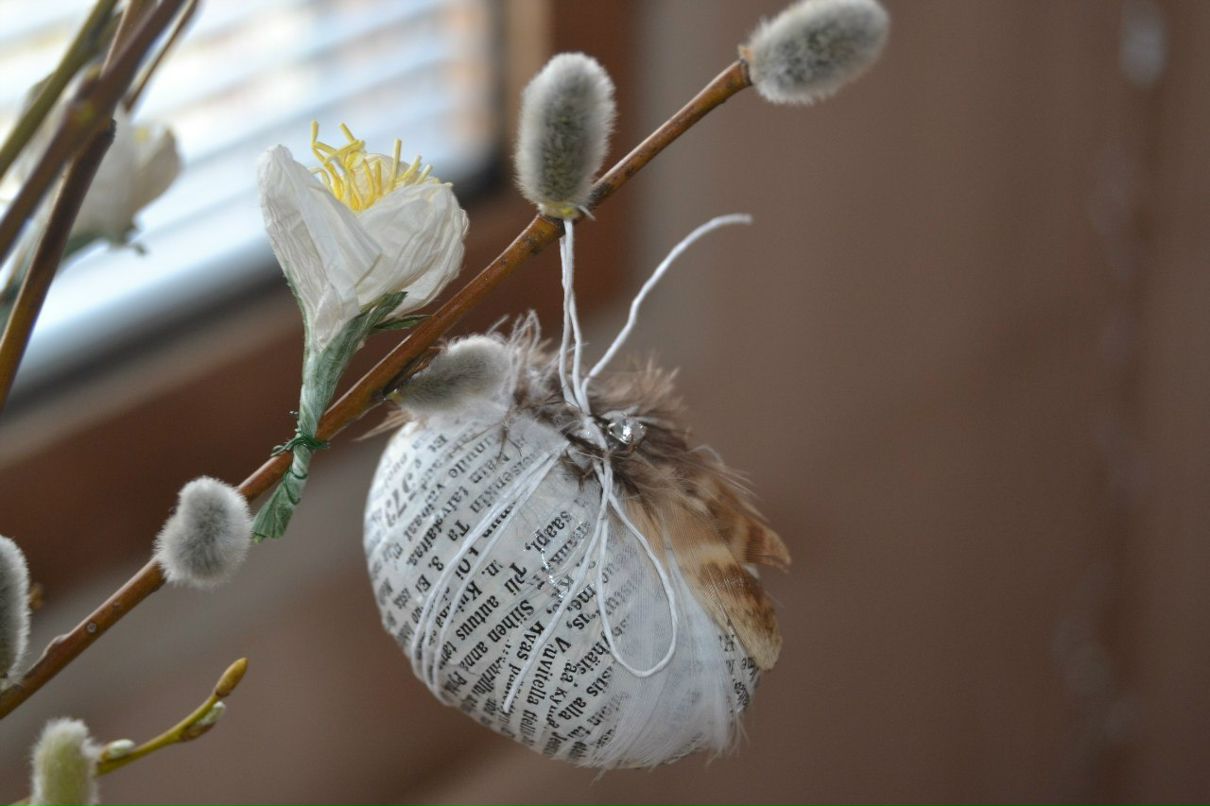 Наталия Кауппи | Lappeenranta