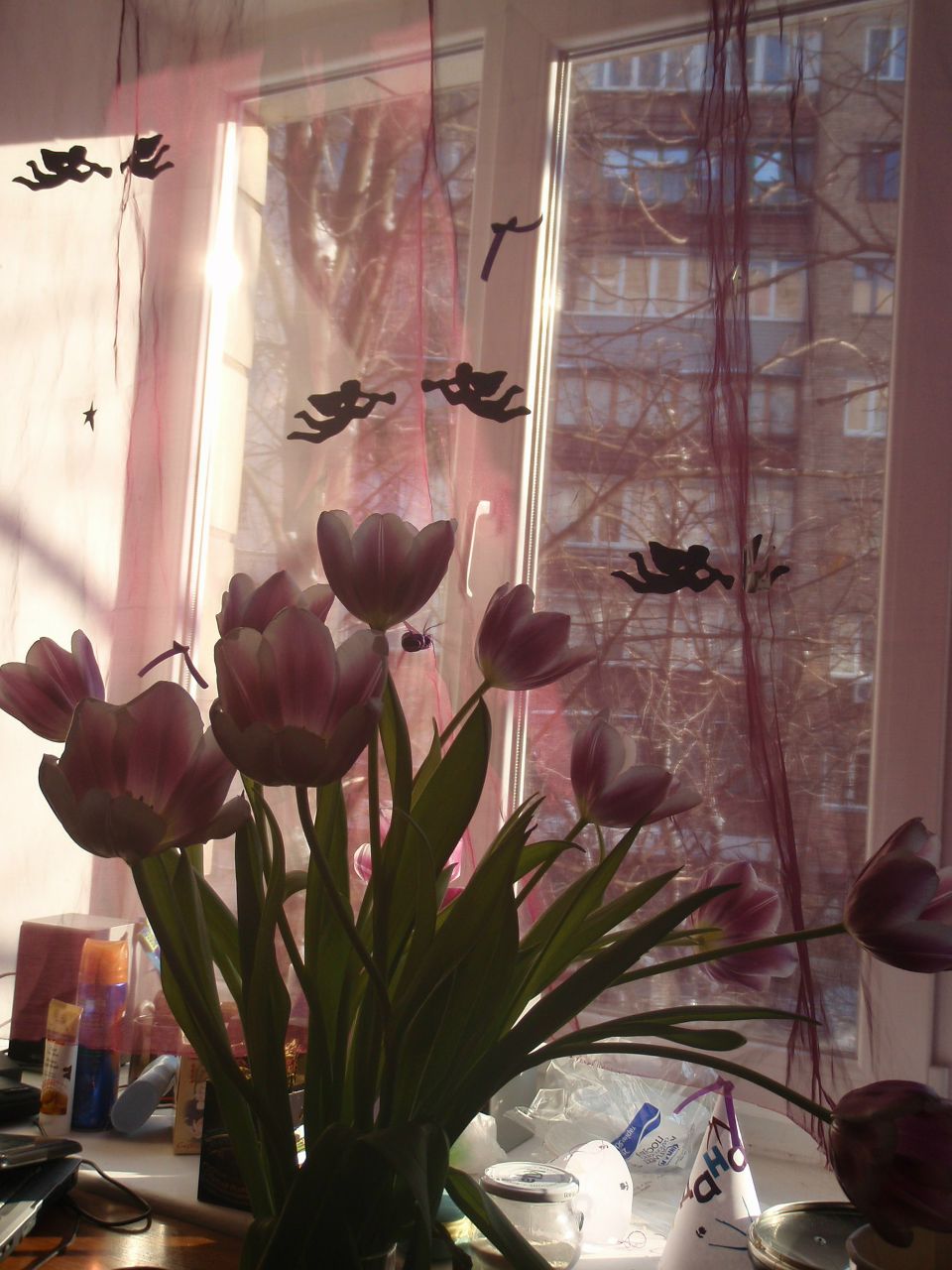 Марьяна Шама | Киев