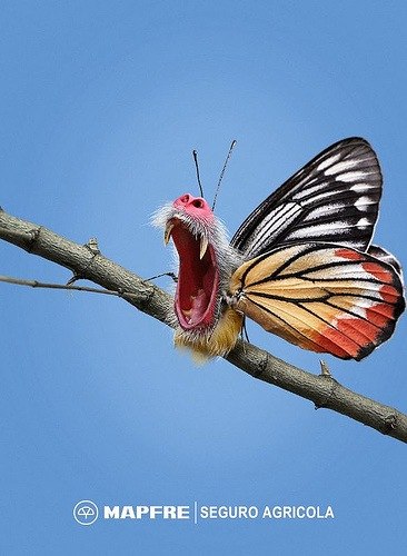 Антон Степаненко | Санкт-Петербург