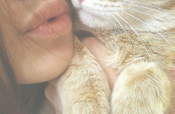 Анна Чигринова | Херсон