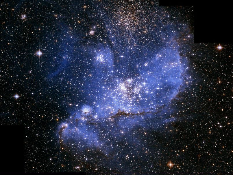 Яна Воля | Москва