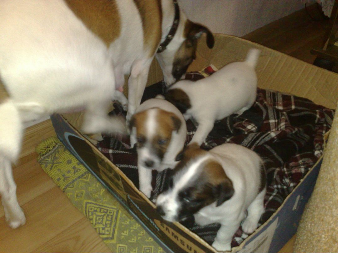 Вячеслав Васильев | Любытино