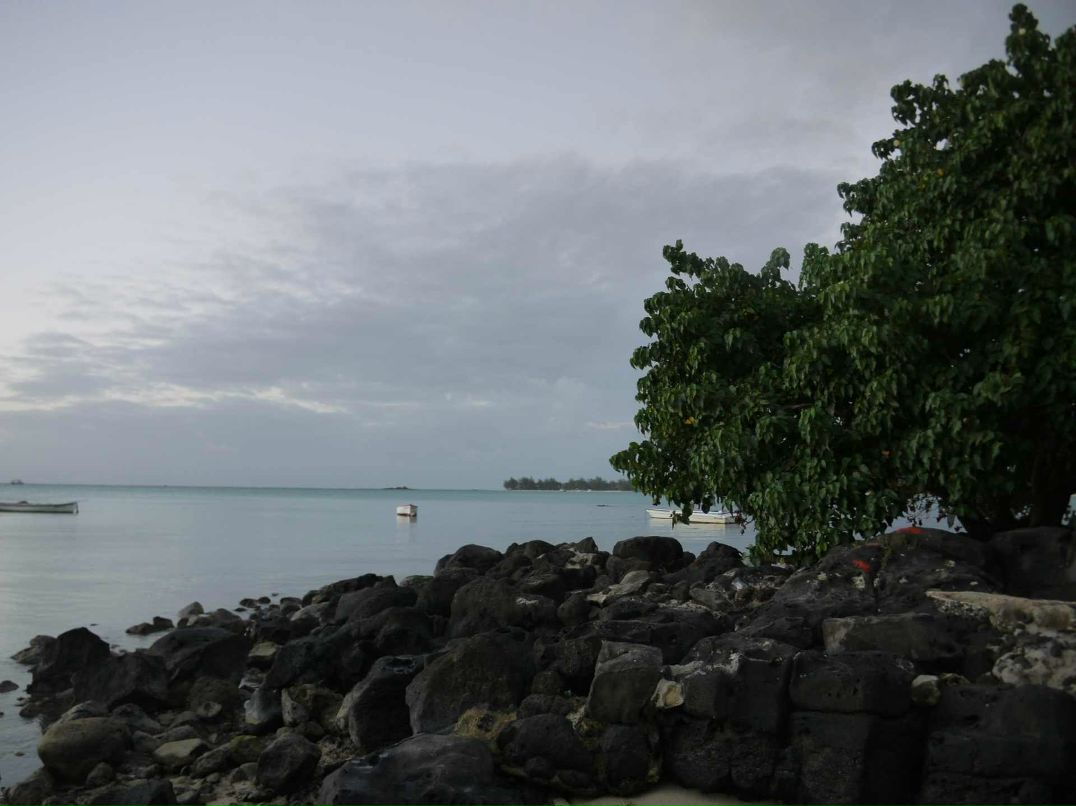 Евгения Фирсова | Москва