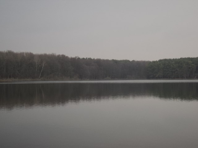 Вадім Степюк | Łódź