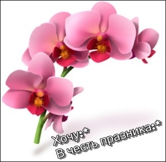 №113, Юлька Долматова, 29 лет, Одесса №113, Юлька Долматова, 29 лет, Одесса