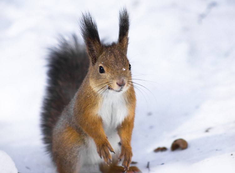 Юлия Илясова | Воскресенск