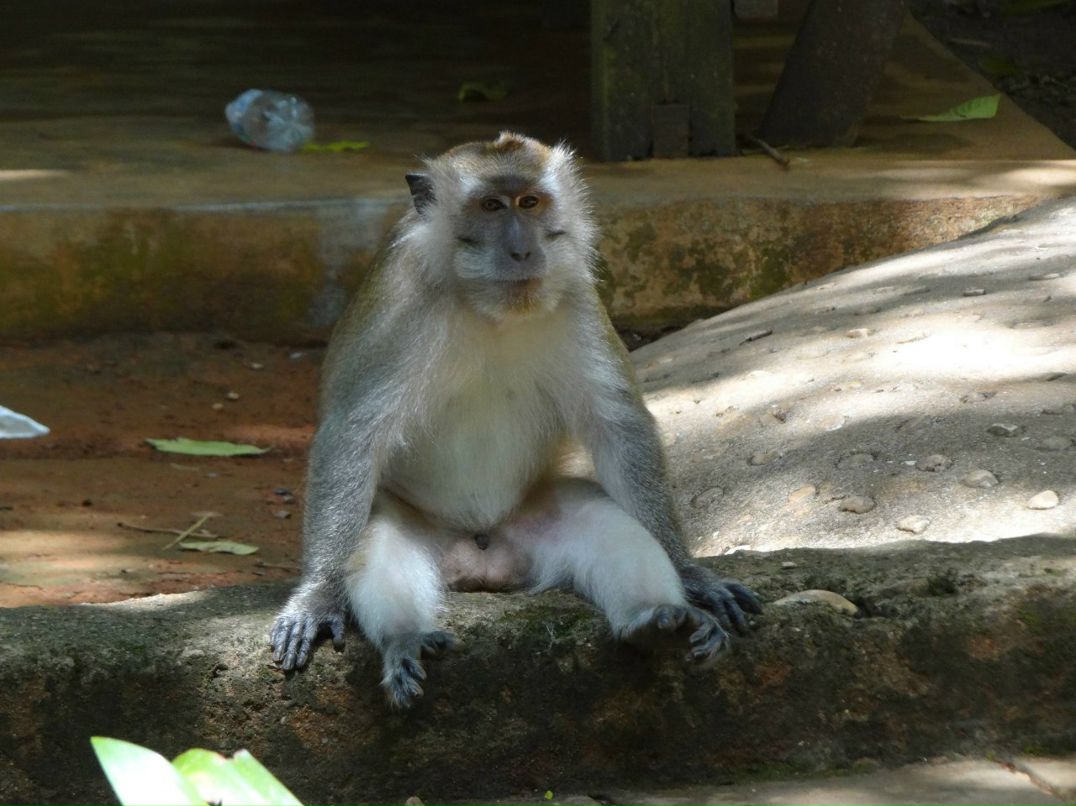 Виктор Морозов | Москва