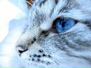 №14 Нина Валевская 03.06: профиль, фото, статус - ВКонтакте
