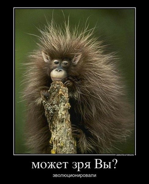 №34, Алёна Гурина, 33 года, Санкт-Петербург №34, Алёна Гурина, 33 года, Санкт-Петербург